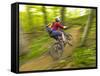 Mountain Biking at Brown County State Park in Indiana, Usa-Chuck Haney-Framed Stretched Canvas