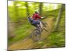 Mountain Biking at Brown County State Park in Indiana, Usa-Chuck Haney-Mounted Photographic Print