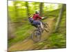 Mountain Biking at Brown County State Park in Indiana, Usa-Chuck Haney-Mounted Photographic Print