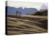 Mountain Biking Couple-null-Stretched Canvas