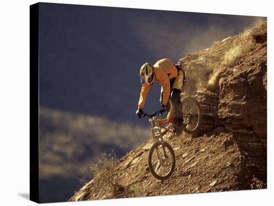 Mountain Biking Downhill-null-Stretched Canvas