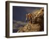 Mountain Biking Downhill-null-Framed Premium Photographic Print