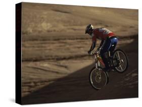 Mountain Biking Downhill-null-Stretched Canvas
