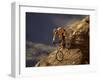 Mountain Biking Downhill-null-Framed Photographic Print