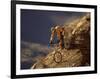 Mountain Biking Downhill-null-Framed Photographic Print