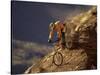 Mountain Biking Downhill-null-Stretched Canvas