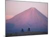 Mountain Biking in Atacama Desert Against a Backdrop of Perfect Cone of Volcan Licancabur 5916 M-John Warburton-lee-Mounted Photographic Print