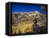 Mountain Biking in Fall, Uinta National Forest, Provo, Utah-Howie Garber-Framed Stretched Canvas