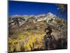 Mountain Biking in Fall, Uinta National Forest, Provo, Utah-Howie Garber-Mounted Photographic Print