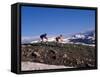 Mountain Biking in Loveland Pass, Colorado, USA-Lee Kopfler-Framed Stretched Canvas