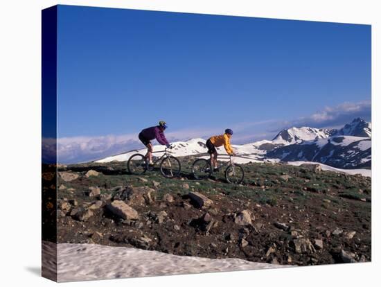 Mountain Biking in Loveland Pass, Colorado, USA-Lee Kopfler-Stretched Canvas