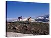 Mountain Biking in Loveland Pass, Colorado, USA-Lee Kopfler-Stretched Canvas