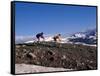 Mountain Biking in Loveland Pass, Colorado, USA-Lee Kopfler-Framed Stretched Canvas