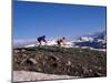 Mountain Biking in Loveland Pass, Colorado, USA-Lee Kopfler-Mounted Photographic Print