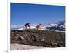 Mountain Biking in Loveland Pass, Colorado, USA-Lee Kopfler-Framed Photographic Print