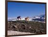 Mountain Biking in Loveland Pass, Colorado, USA-Lee Kopfler-Framed Photographic Print