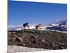 Mountain Biking in Loveland Pass, Colorado, USA-Lee Kopfler-Mounted Photographic Print