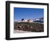 Mountain Biking in Loveland Pass, Colorado, USA-Lee Kopfler-Framed Photographic Print