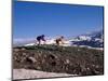 Mountain Biking in Loveland Pass, Colorado, USA-Lee Kopfler-Mounted Photographic Print