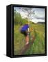 Mountain Biking in the Highwood Mountains, Montana-Chuck Haney-Framed Stretched Canvas