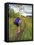 Mountain Biking in the Highwood Mountains, Montana-Chuck Haney-Framed Stretched Canvas