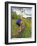 Mountain Biking in the Highwood Mountains, Montana-Chuck Haney-Framed Photographic Print