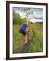 Mountain Biking in the Highwood Mountains, Montana-Chuck Haney-Framed Photographic Print