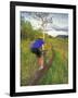 Mountain Biking in the Highwood Mountains, Montana-Chuck Haney-Framed Photographic Print