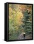 Mountain Biking on Old Logging Road of Rice Hill, Green Mountains, Vermont, USA-Jerry & Marcy Monkman-Framed Stretched Canvas