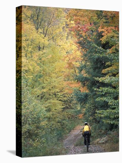 Mountain Biking on Old Logging Road of Rice Hill, Green Mountains, Vermont, USA-Jerry & Marcy Monkman-Stretched Canvas