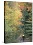 Mountain Biking on Old Logging Road of Rice Hill, Green Mountains, Vermont, USA-Jerry & Marcy Monkman-Stretched Canvas