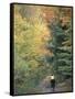 Mountain Biking on Old Logging Road of Rice Hill, Green Mountains, Vermont, USA-Jerry & Marcy Monkman-Framed Stretched Canvas