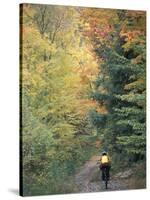 Mountain Biking on Old Logging Road of Rice Hill, Green Mountains, Vermont, USA-Jerry & Marcy Monkman-Stretched Canvas