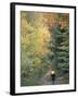 Mountain Biking on Old Logging Road of Rice Hill, Green Mountains, Vermont, USA-Jerry & Marcy Monkman-Framed Premium Photographic Print