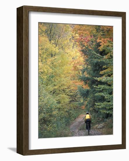 Mountain Biking on Old Logging Road of Rice Hill, Green Mountains, Vermont, USA-Jerry & Marcy Monkman-Framed Photographic Print