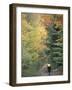 Mountain Biking on Old Logging Road of Rice Hill, Green Mountains, Vermont, USA-Jerry & Marcy Monkman-Framed Photographic Print
