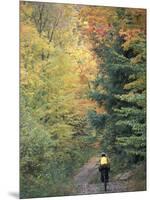 Mountain Biking on Old Logging Road of Rice Hill, Green Mountains, Vermont, USA-Jerry & Marcy Monkman-Mounted Photographic Print