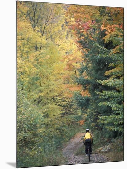 Mountain Biking on Old Logging Road of Rice Hill, Green Mountains, Vermont, USA-Jerry & Marcy Monkman-Mounted Photographic Print