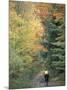 Mountain Biking on Old Logging Road of Rice Hill, Green Mountains, Vermont, USA-Jerry & Marcy Monkman-Mounted Photographic Print