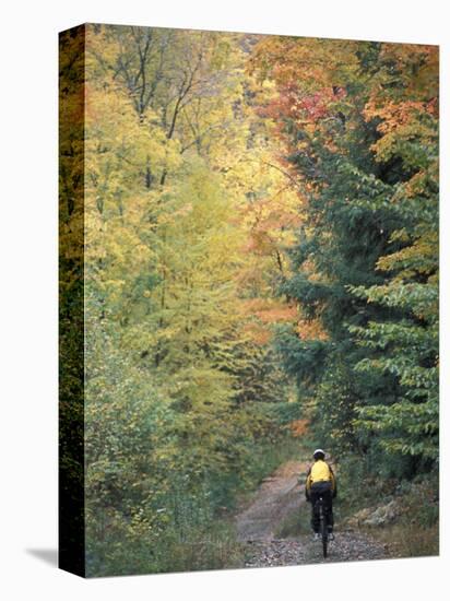 Mountain Biking on Old Logging Road of Rice Hill, Green Mountains, Vermont, USA-Jerry & Marcy Monkman-Stretched Canvas