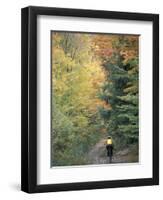 Mountain Biking on Old Logging Road of Rice Hill, Green Mountains, Vermont, USA-Jerry & Marcy Monkman-Framed Photographic Print