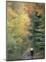 Mountain Biking on Old Logging Road of Rice Hill, Green Mountains, Vermont, USA-Jerry & Marcy Monkman-Mounted Photographic Print