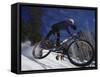 Mountain Biking on Snow-null-Framed Stretched Canvas
