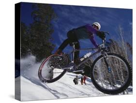 Mountain Biking on Snow-null-Stretched Canvas