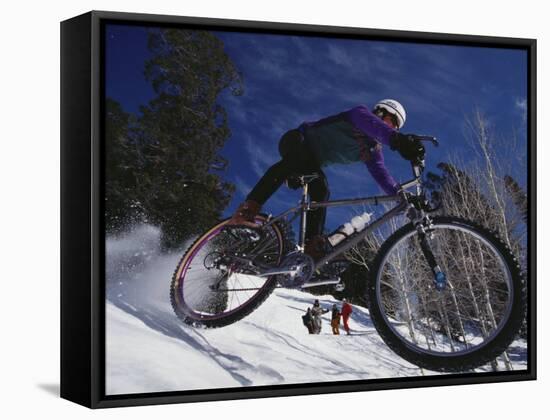 Mountain Biking on Snow-null-Framed Stretched Canvas