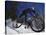 Mountain Biking on Snow-null-Stretched Canvas