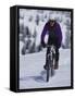 Mountain Biking on Snow-null-Framed Stretched Canvas