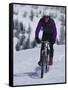 Mountain Biking on Snow-null-Framed Stretched Canvas