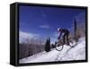 Mountain Biking on Snow-null-Framed Stretched Canvas