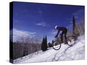 Mountain Biking on Snow-null-Stretched Canvas